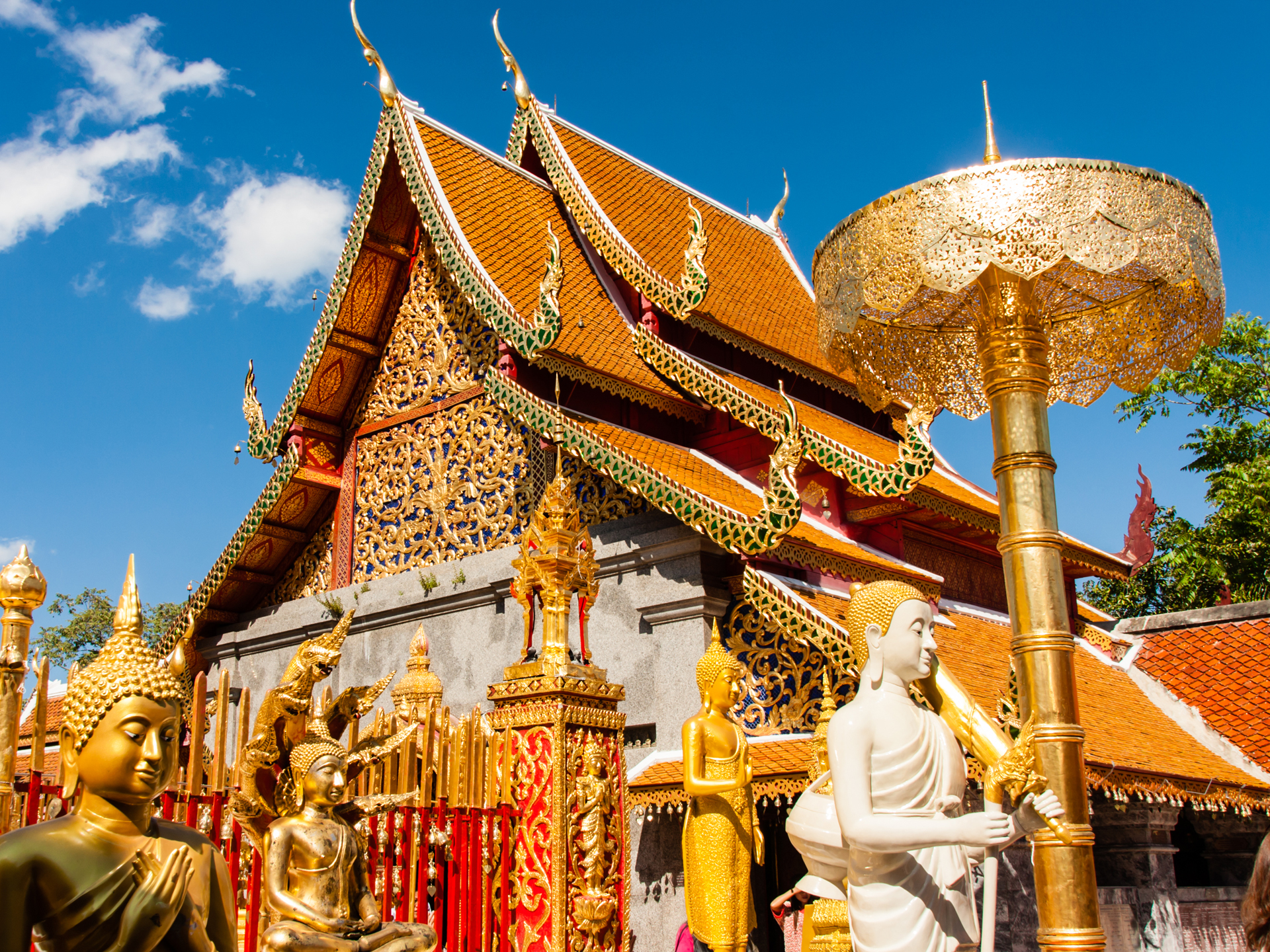 清邁、清萊雙飛7天6晚游