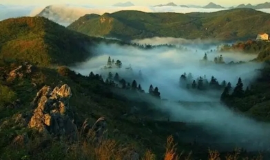 益陽安化?天下茶道、云臺山、茶香花海2日游