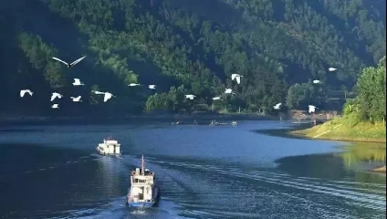 益陽安化?天下茶道、云臺山、茶香花海2日游