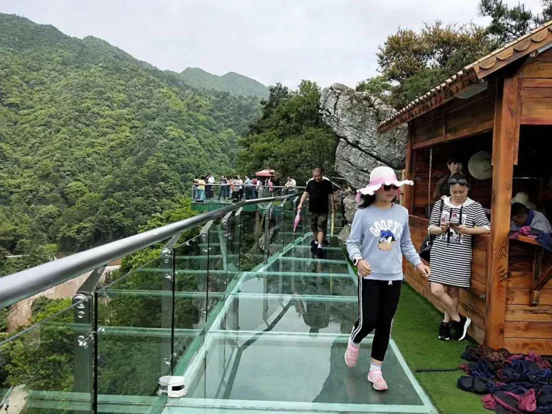 益陽安化?天下茶道、云臺山、茶香花海2日游