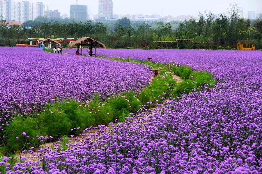 長(zhǎng)沙?華誼兄弟電影小鎮(zhèn)、李自健美術(shù)館一日游