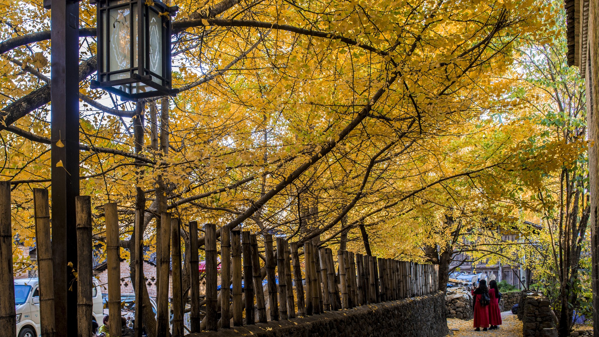 長沙直飛騰沖、瑞麗、芒市雙飛六日游