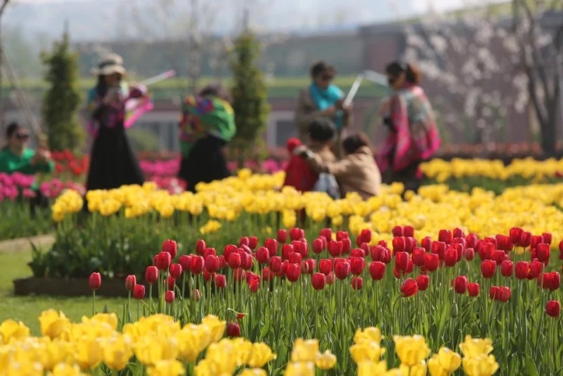 岳陽花語世界、汴河街一日游