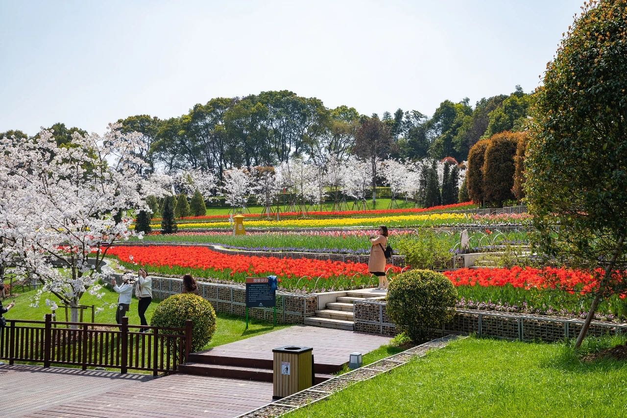 岳陽花語世界、汴河街一日游