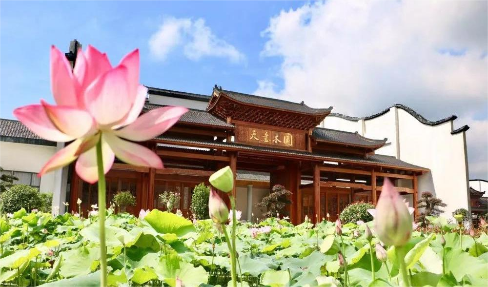 清溪村、天意木國景區(qū)、明清古巷、市博物館、胡林翼故居二日游